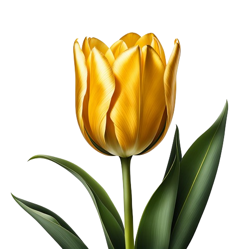 flor
